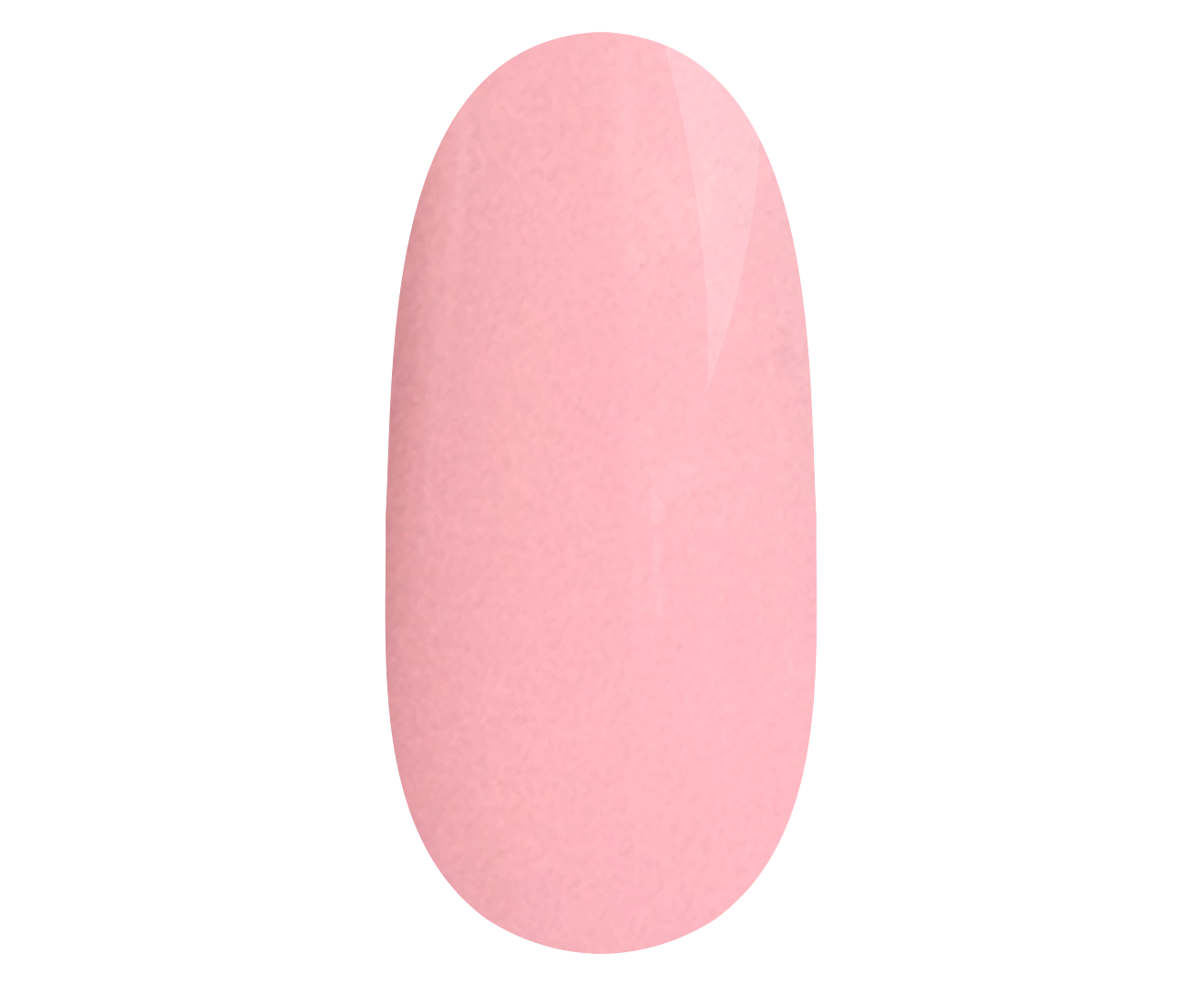 Sugar Rose 5ml