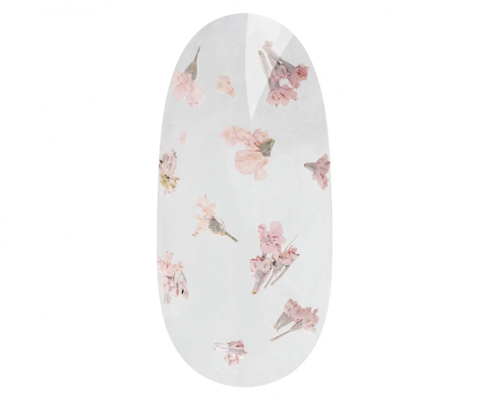 

	Flower dizaina gels ir ilgnoturīgs gēls ar sauso ziedu elementiem. Viegli klājama formula un izcila konsistence nodrošina, ka gels neatkāpjas no na...