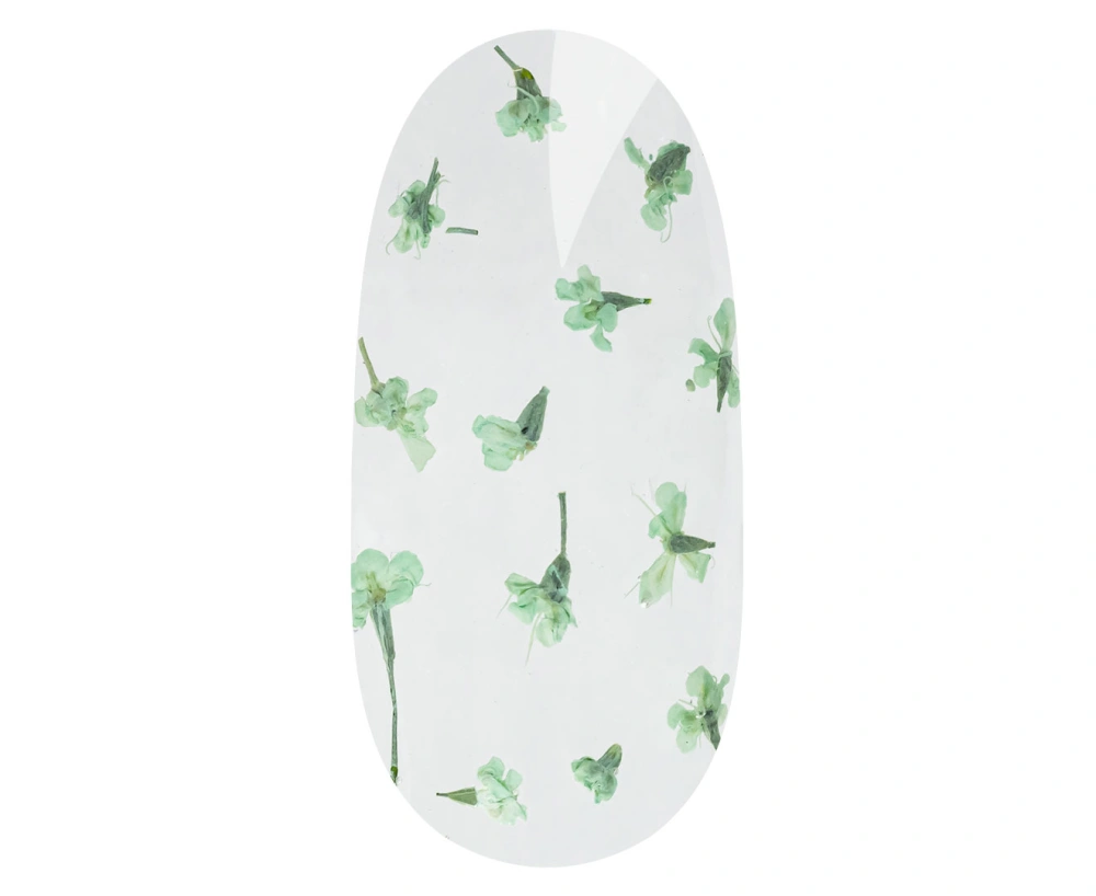 

	Flower dizaina gels ir ilgnoturīgs gēls ar sauso ziedu elementiem. Viegli klājama formula un izcila konsistence nodrošina, ka gels neatkāpjas no na...