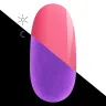 NGL17